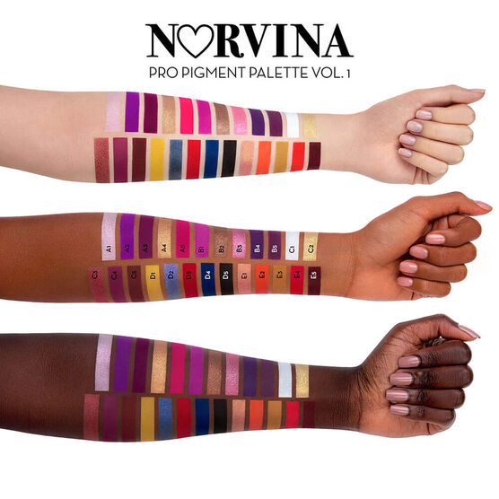 Paleta Multifuncional Anastasia Norvina Pro Pigment Palette Vol. 1